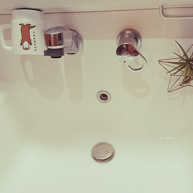 pipiさんの実例写真