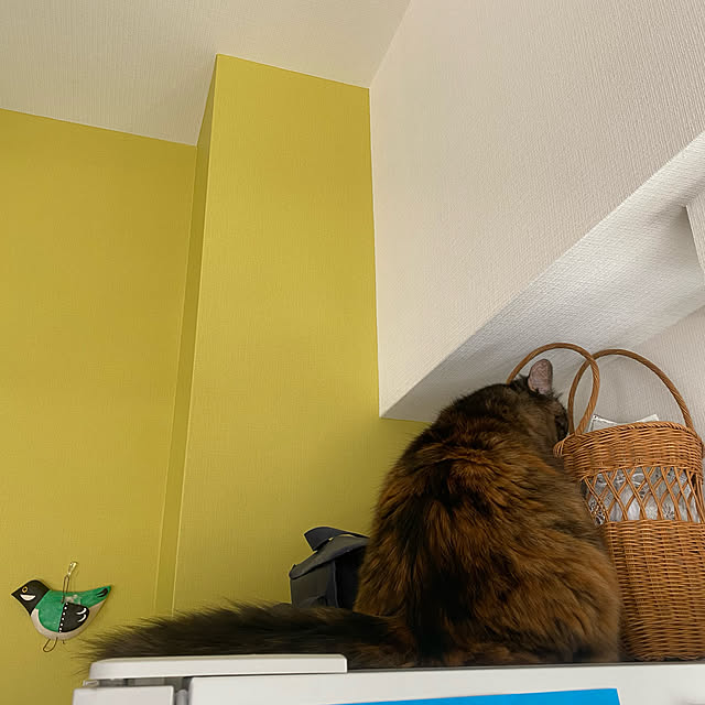 mikomaruさんの実例写真