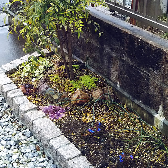chikohiroさんの実例写真