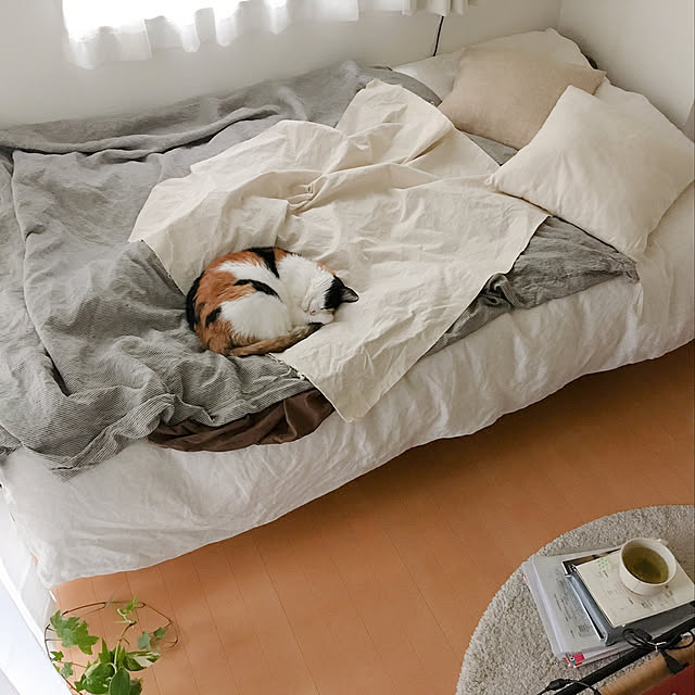 warashibeさんの実例写真