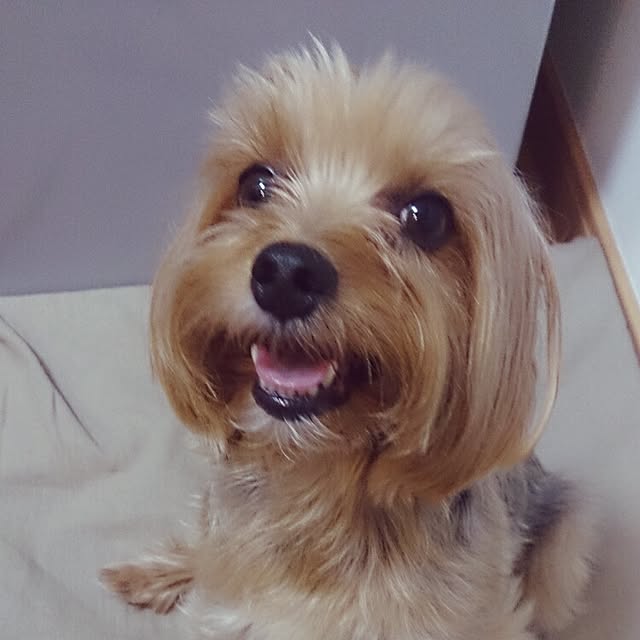 kazu0905さんの実例写真