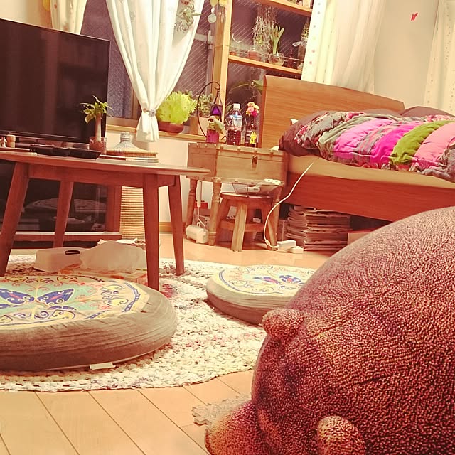 akinaさんの実例写真