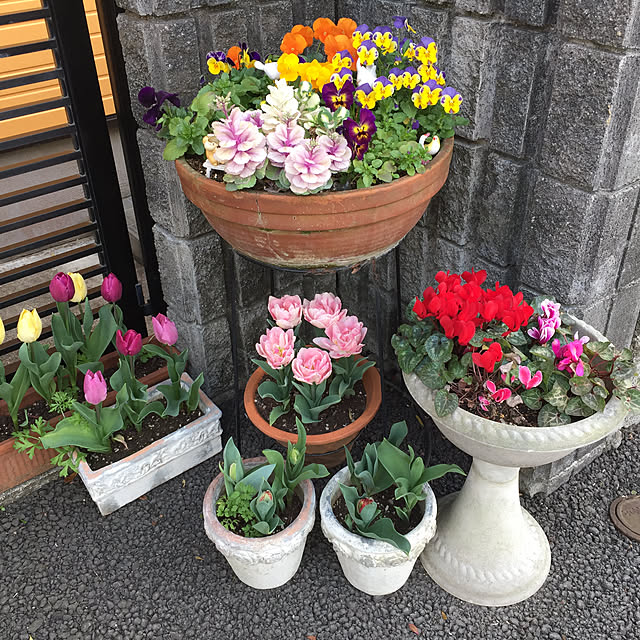 nekopunchさんの実例写真