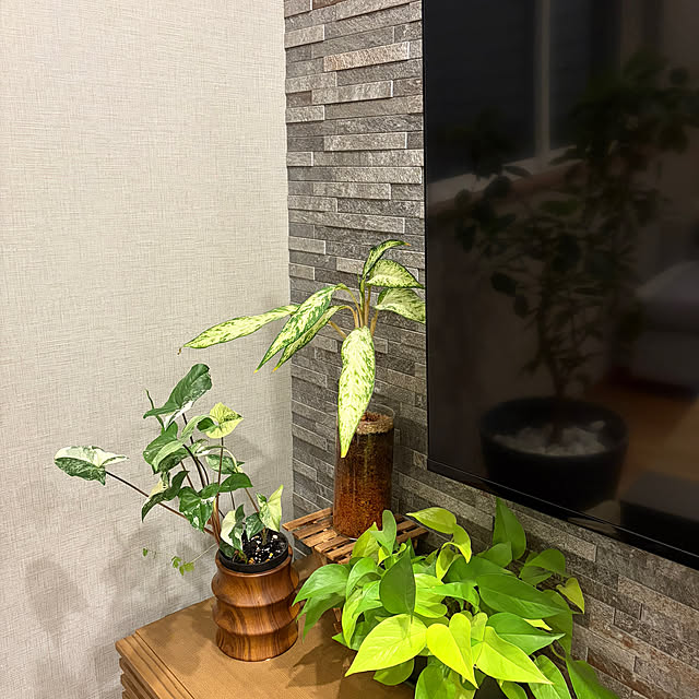 ikuzakさんの部屋