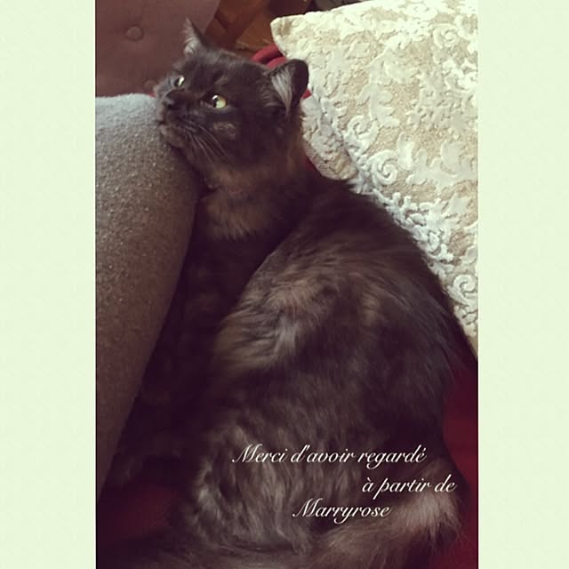 maria.rさんの実例写真