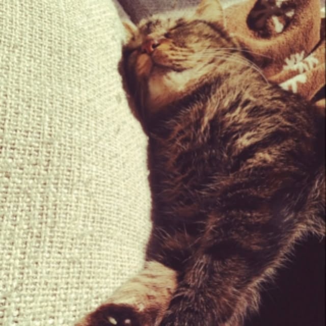 mikanさんの実例写真