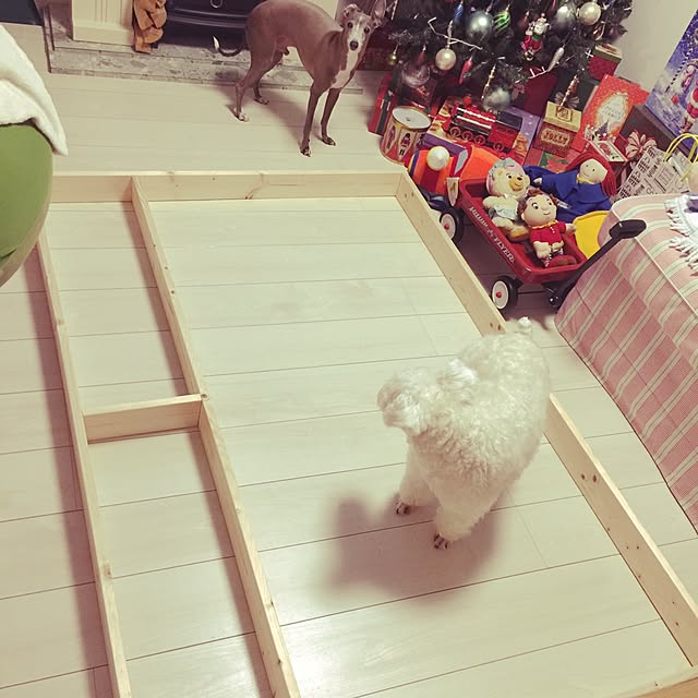 suzyさんの実例写真