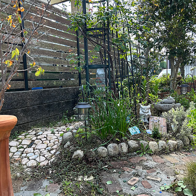 chiyukouさんの部屋