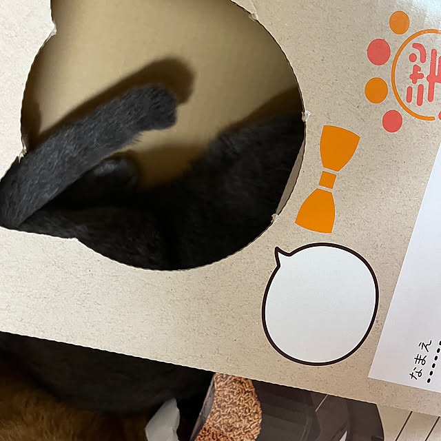 nekoさんの部屋