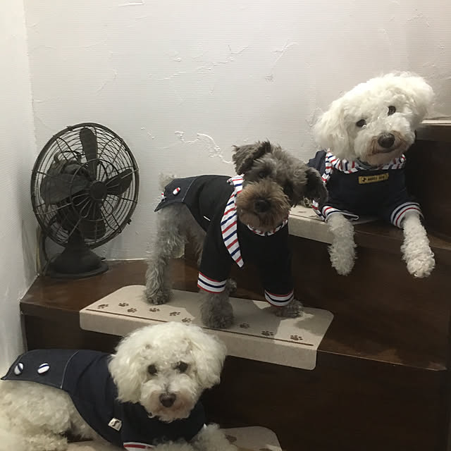 Cokiaさんの実例写真