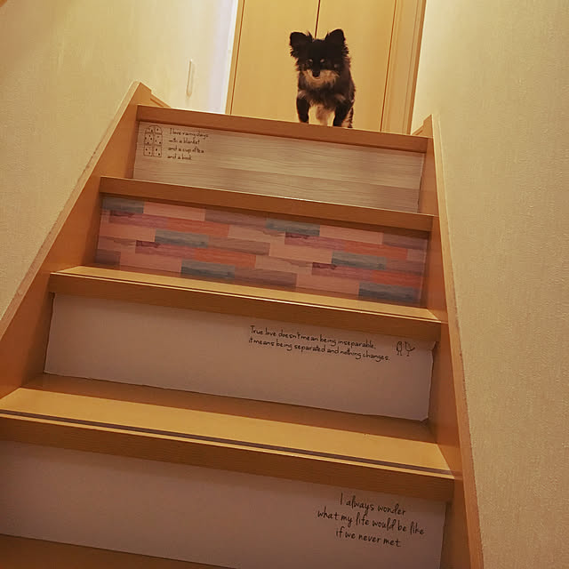 cocoさんの実例写真