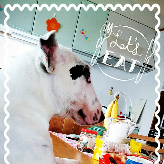 kimuneisanさんの実例写真
