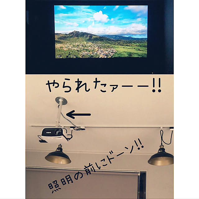 izuさんの実例写真