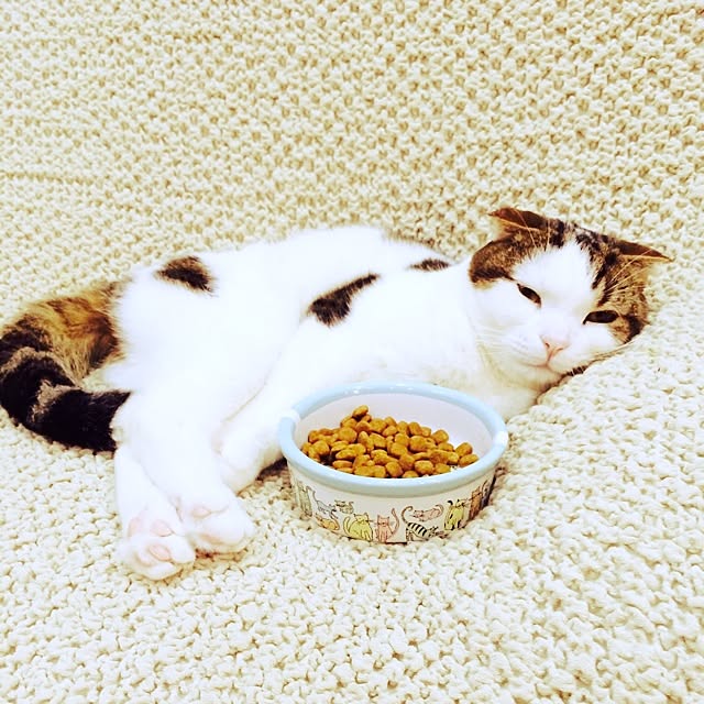 paletoneさんの実例写真