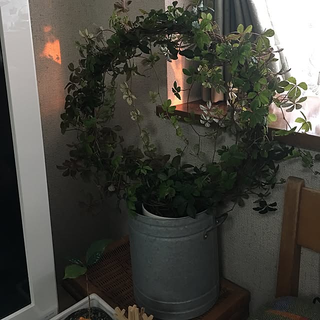 rokokoさんの実例写真