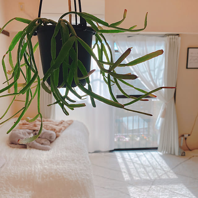 smallroomさんの実例写真