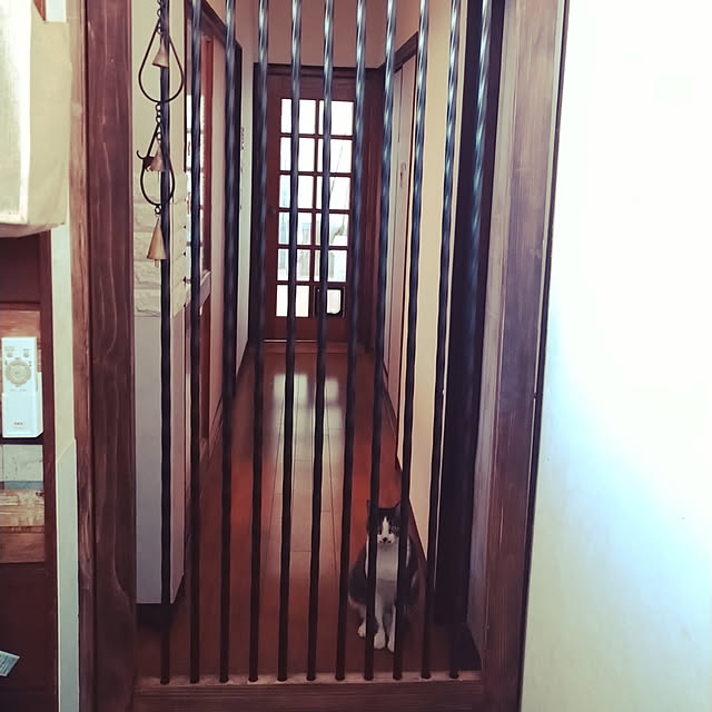 mariさんの実例写真