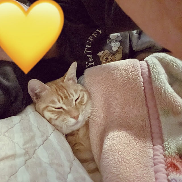 chiiさんの部屋
