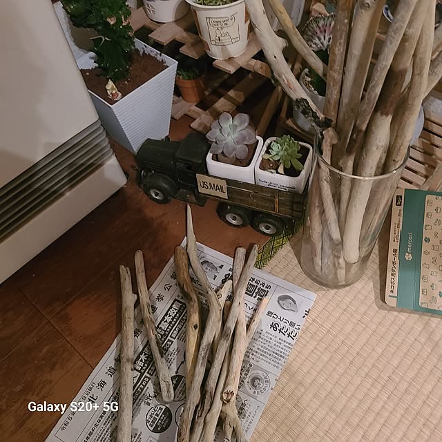 monnさんの部屋