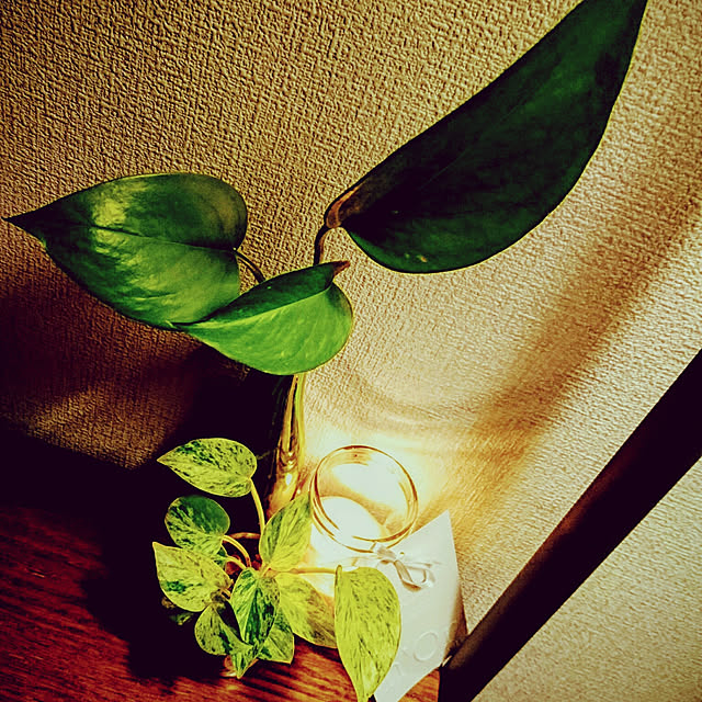 s.p.sunaoさんの実例写真