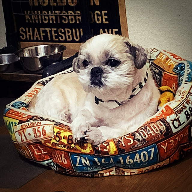 lenkaさんの実例写真