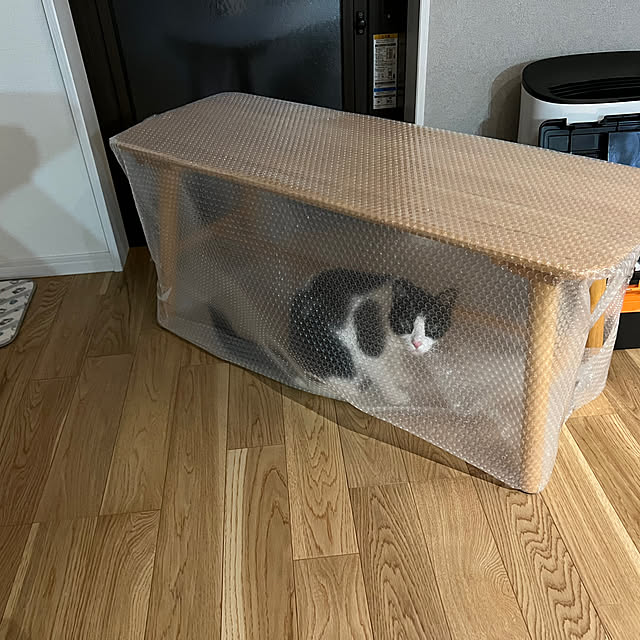 santar222さんの部屋