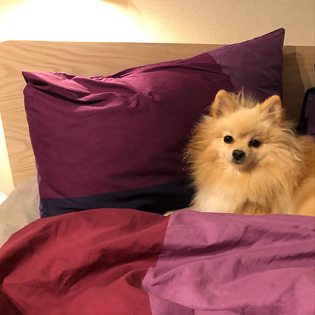 t.k.mさんの実例写真