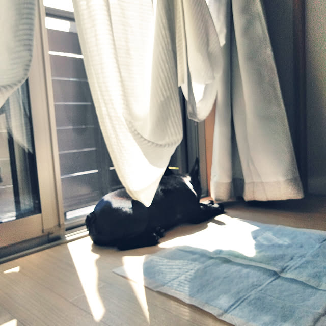nicomaruさんの実例写真