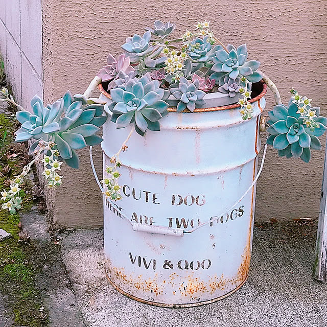 viviさんの実例写真
