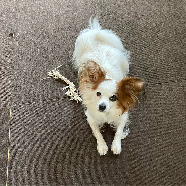 Kさんの実例写真