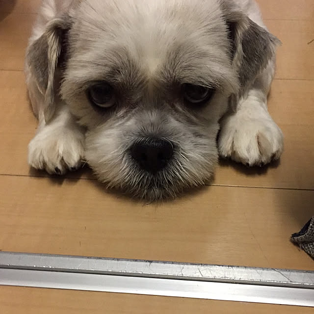 emiさんの実例写真