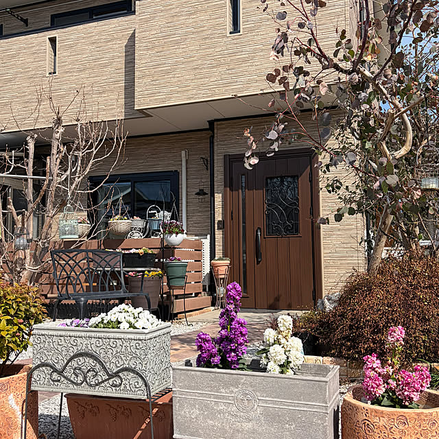 ronronさんの部屋