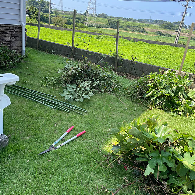 yottiさんの部屋