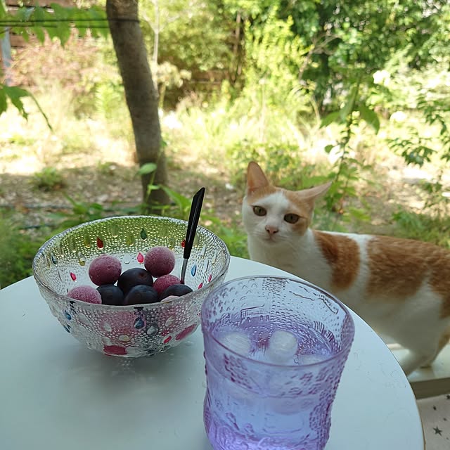 asmaさんの部屋