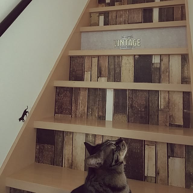 miagolaさんの実例写真
