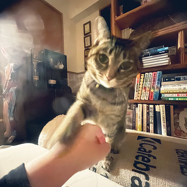 Mさんの実例写真