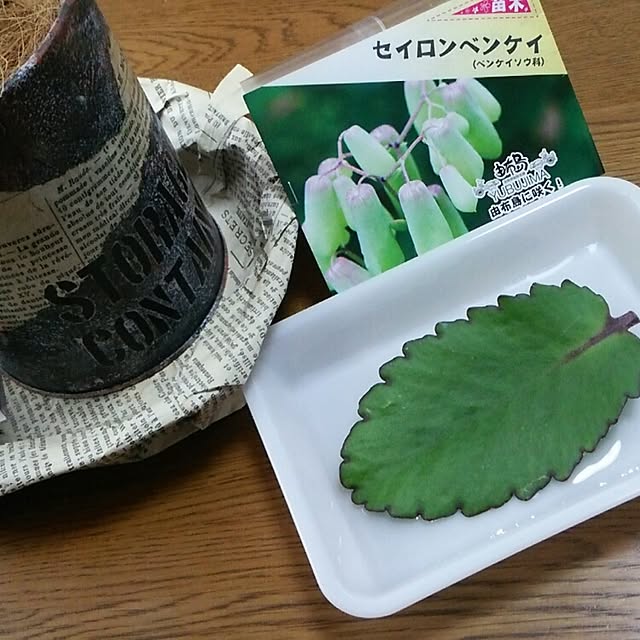 ricoさんの実例写真