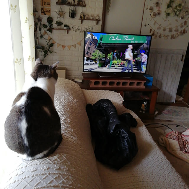 Tomopさんの実例写真