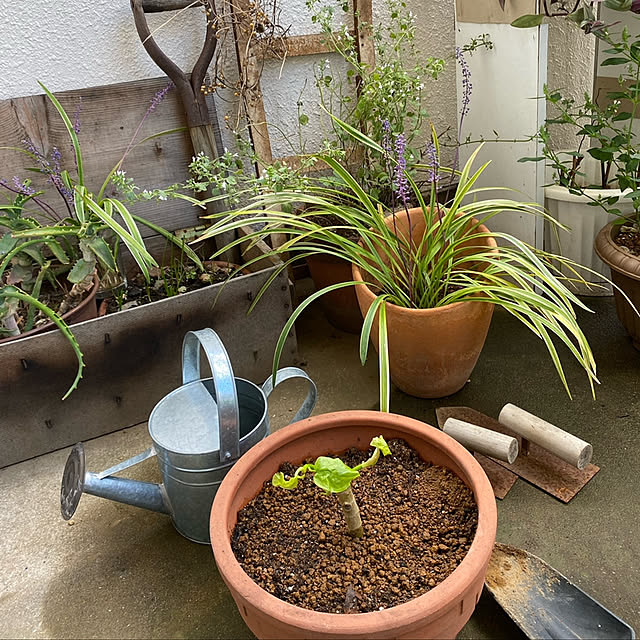 mamiさんの部屋
