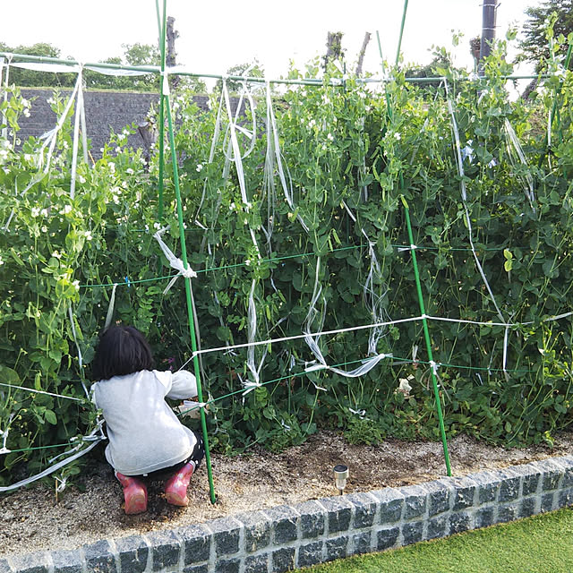 manamamaさんの実例写真