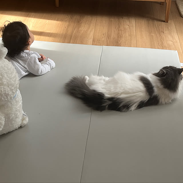 jubileeさんの部屋