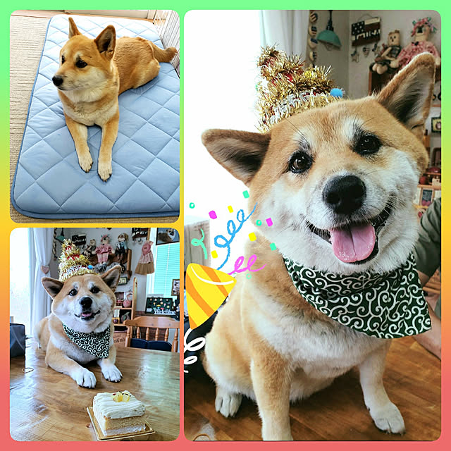 nanaさんの実例写真