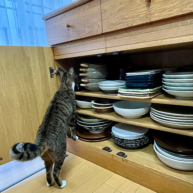nobikoさんの実例写真