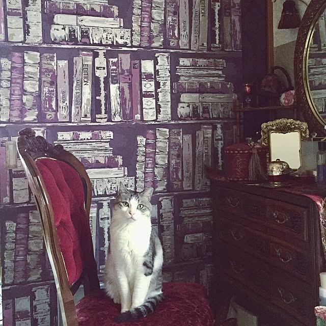 emmyyさんの実例写真