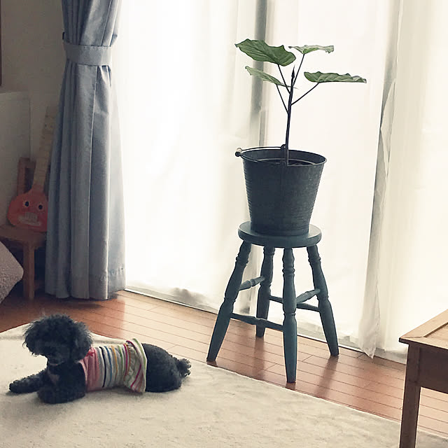 makkoさんの実例写真