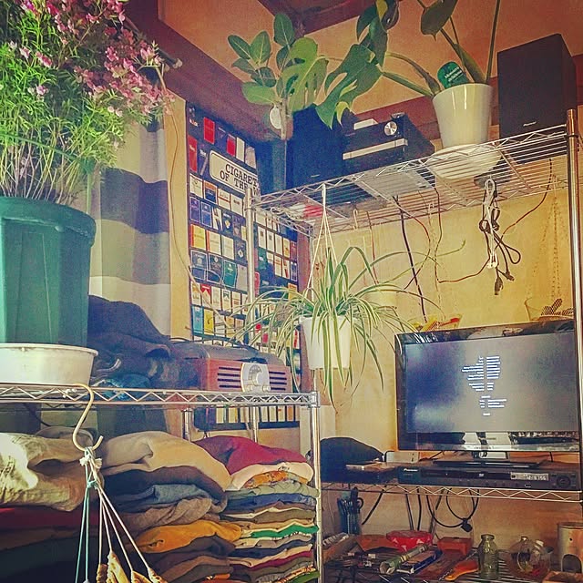 Yuさんの実例写真
