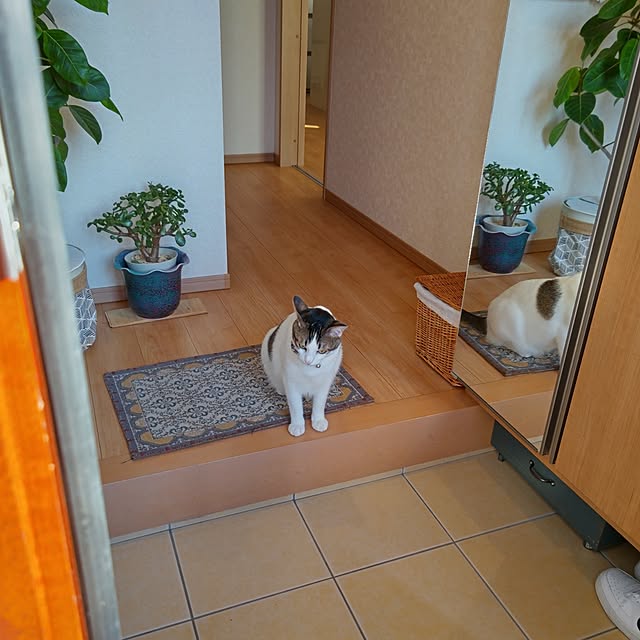 eriponさんの実例写真