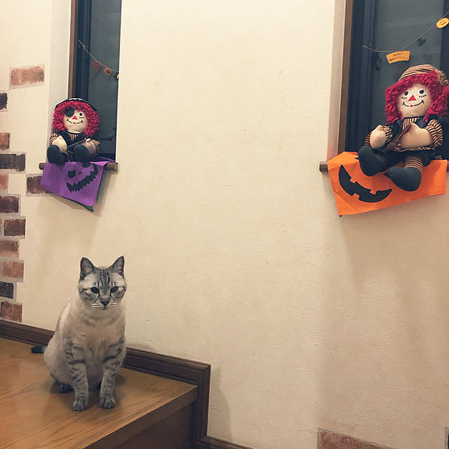 mieさんの実例写真