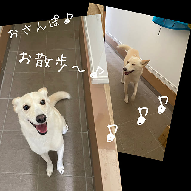 tanboさんの実例写真