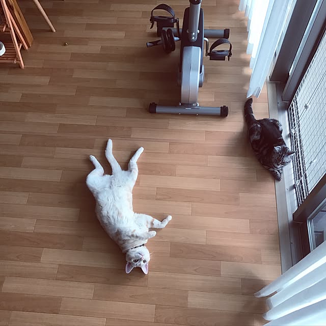 hiyupan88さんの実例写真